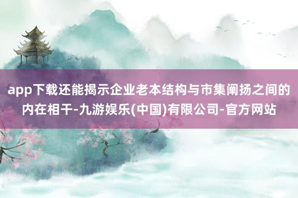 app下载还能揭示企业老本结构与市集阐扬之间的内在相干-九游娱乐(中国)有限公司-官方网站