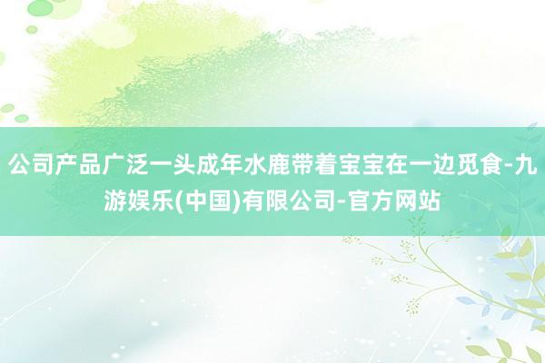 公司产品广泛一头成年水鹿带着宝宝在一边觅食-九游娱乐(中国)有限公司-官方网站
