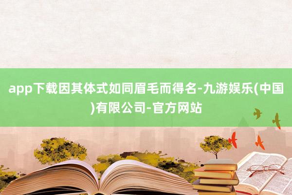 app下载因其体式如同眉毛而得名-九游娱乐(中国)有限公司-官方网站