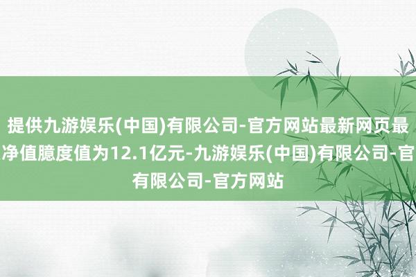 提供九游娱乐(中国)有限公司-官方网站最新网页最新钞票净值臆度值为12.1亿元-九游娱乐(中国)有限公司-官方网站