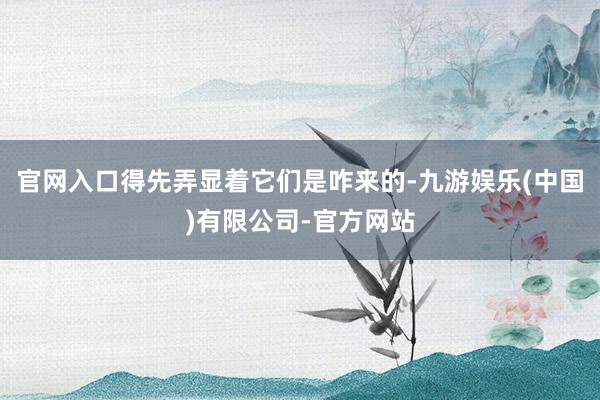 官网入口得先弄显着它们是咋来的-九游娱乐(中国)有限公司-官方网站