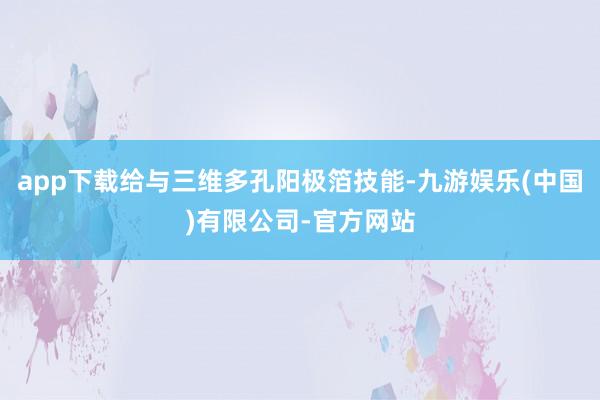 app下载给与三维多孔阳极箔技能-九游娱乐(中国)有限公司-官方网站