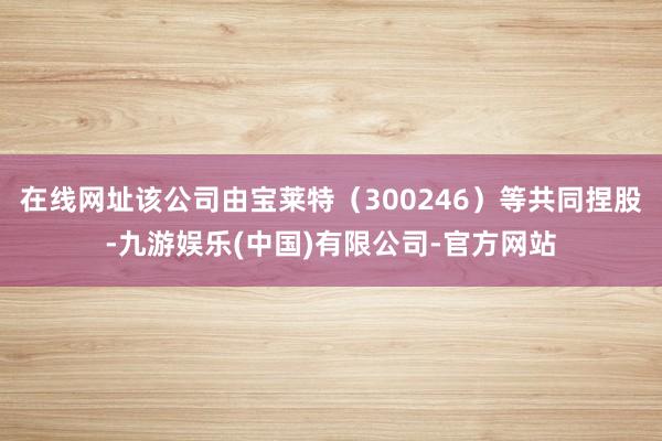 在线网址该公司由宝莱特（300246）等共同捏股-九游娱乐(中国)有限公司-官方网站